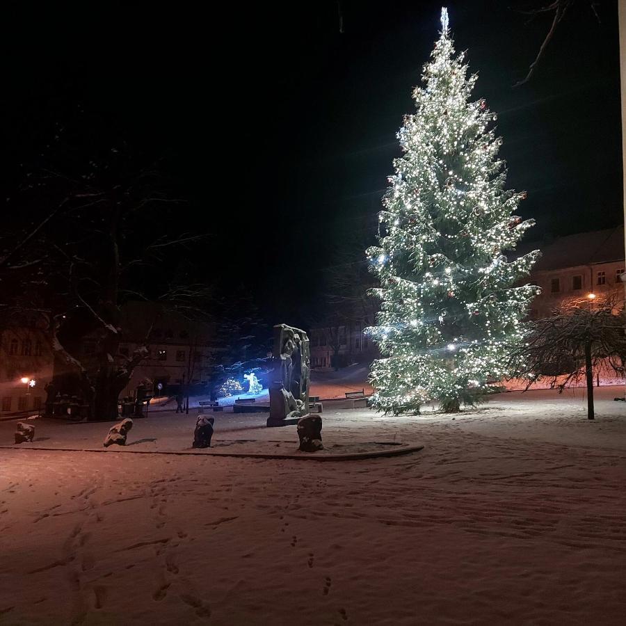 U Vahy Jachymov Lägenhet Exteriör bild